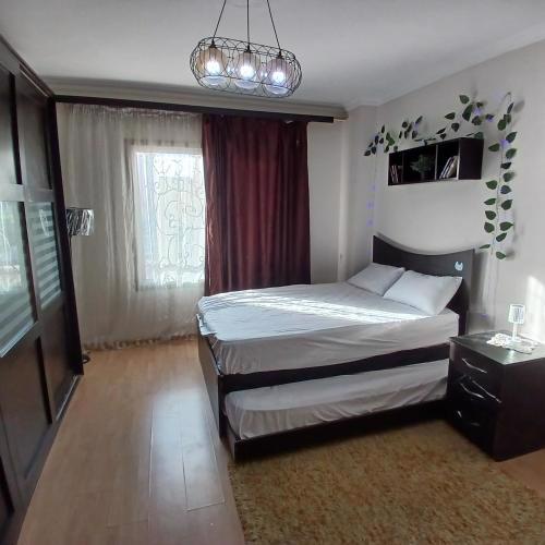 DD appartment
