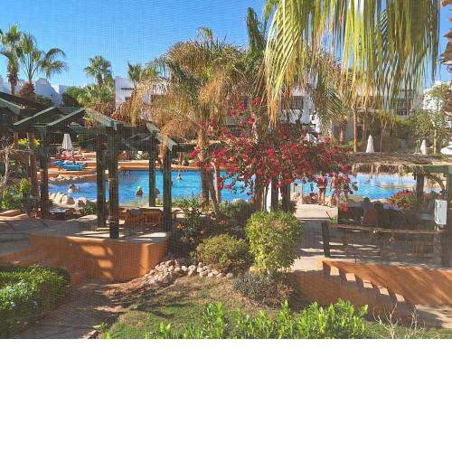 Delta Sharm luxury pool view apartment Shahrazad