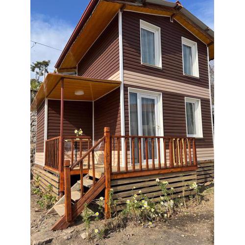 denessa houses