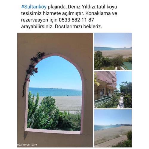DENİZ YILDIZI