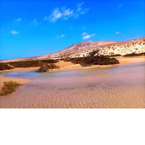 Desert of love Fuerteventura