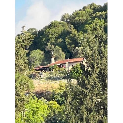 Despina country retreat