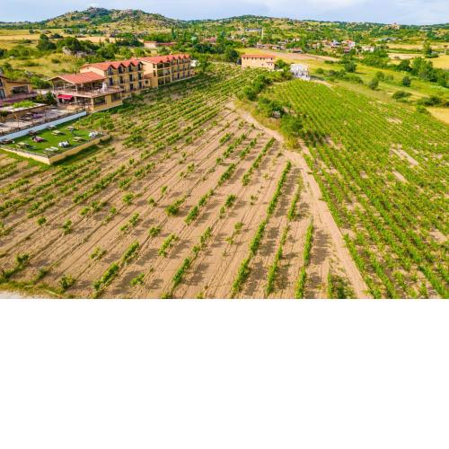 Dessera Vineyards Hotel