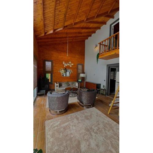 Detached Villa With Pool