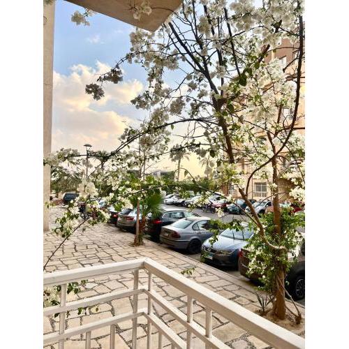 Diamond Madinaty New Cairo