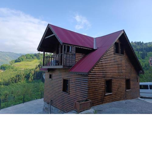 Diamond Tree House