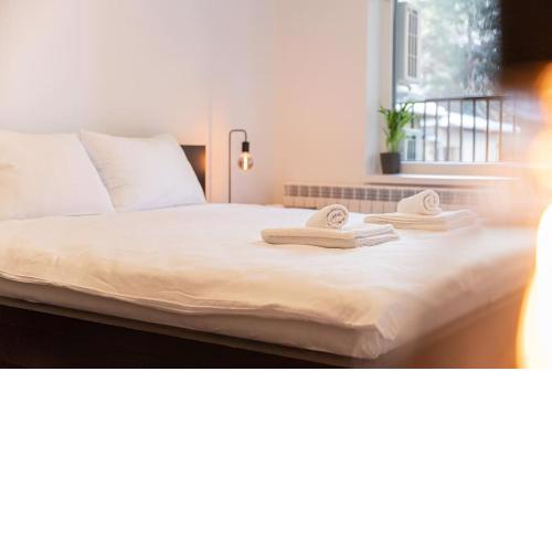 Digital Nomad Suites with Free Gym Pass and Office Setup