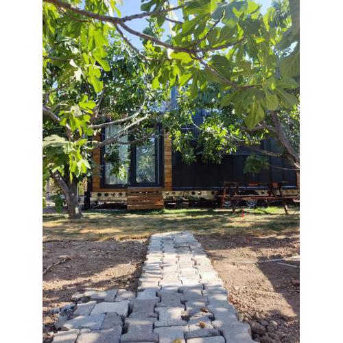 Dikili ZeyTiny House