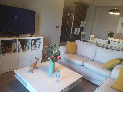 Distinctive apartment (2+1)Babacan