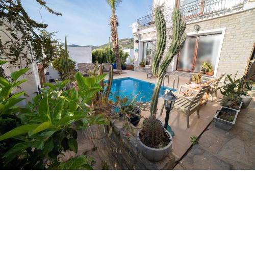 Dolphin Villa