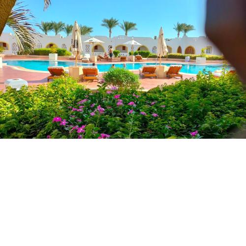 Domina Coral Bay Prestige