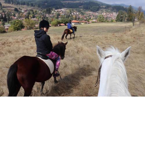 Dona Guest House - Horse Riding