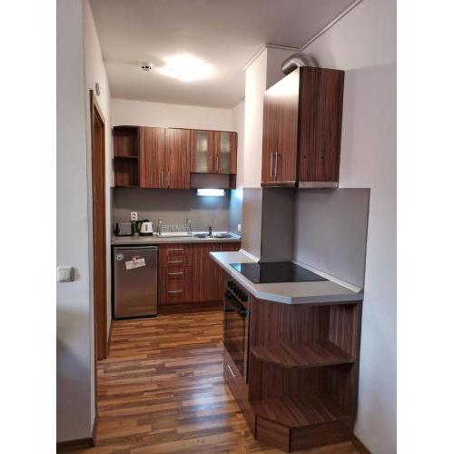 Double Studio near SKI Lift - Bansko
