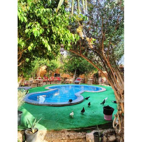Dream Lodge Siwa دريم لودج سيوة