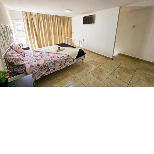 Duplex Apartment