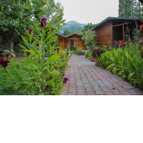 Duran Bungalow