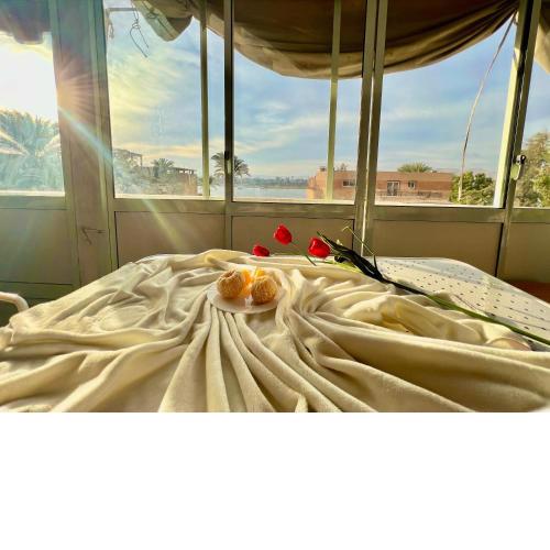 East Luxor Apartments with Nile views