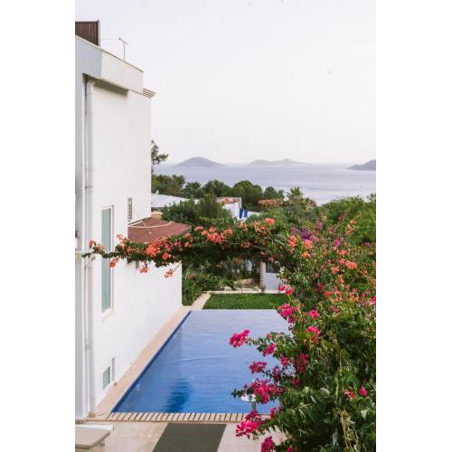 Eco Villa LALALAND