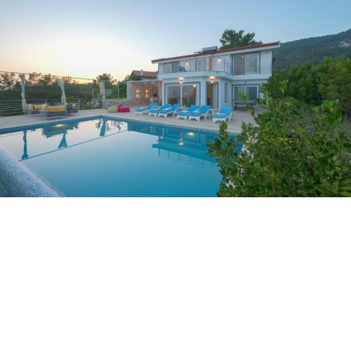 Eco Villa OZZY