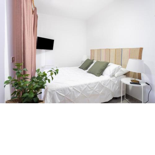 EDEN RENTALS 106 Surfy Stylish Bed&Coffee Room