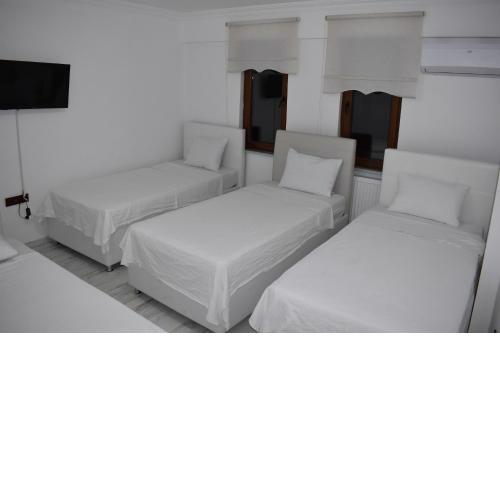 Edirne ulus home 10 rooms