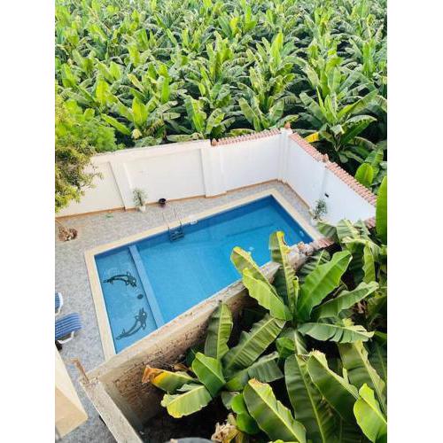 El Hady villa with swimming pool