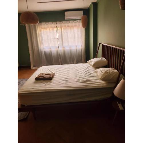 elegant 1 BR apr in the Center of downtown