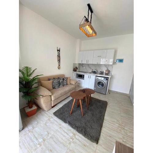 Elegant and Welcoming one bedroom apartment
