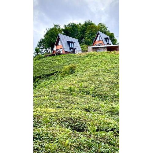 Elit Bungalov