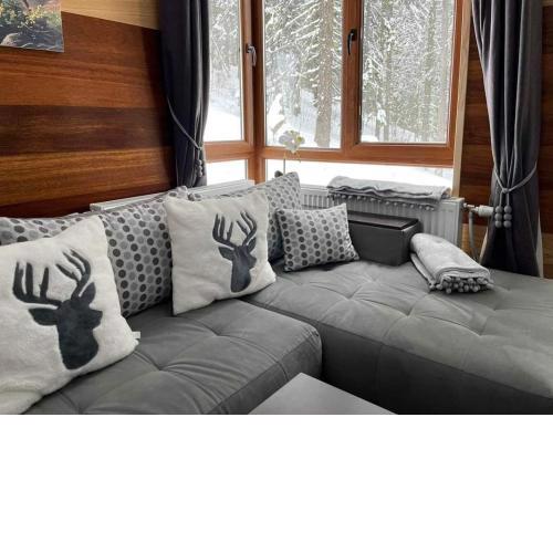 Elizi1winter apartments Pamporovo
