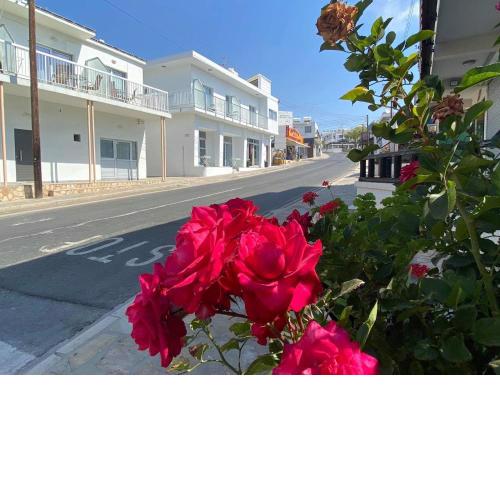 ElleNapa Apts & Studios