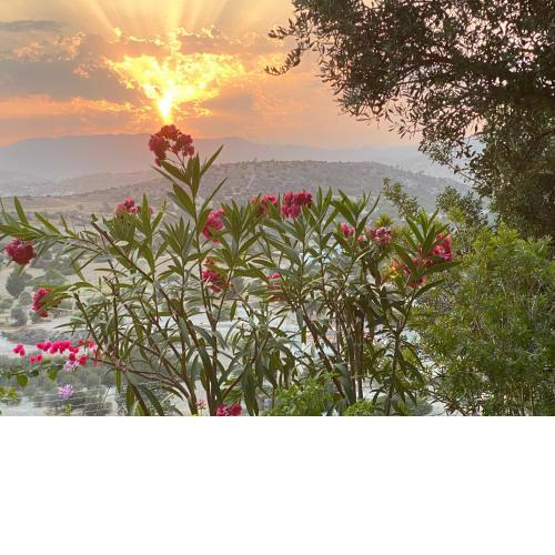 Endless Sunset