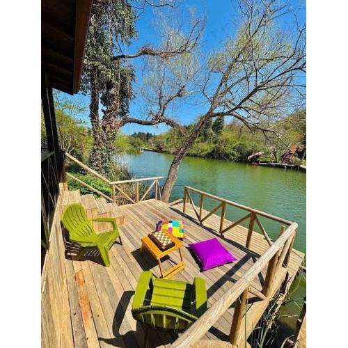 Enjoy the Riverside! Agva Secret Yard