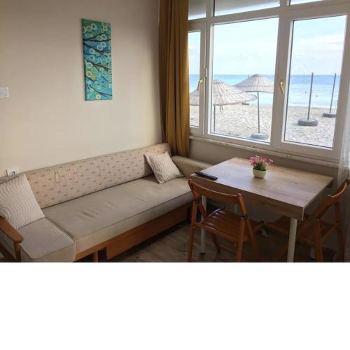 Entire Apartment on the Beach