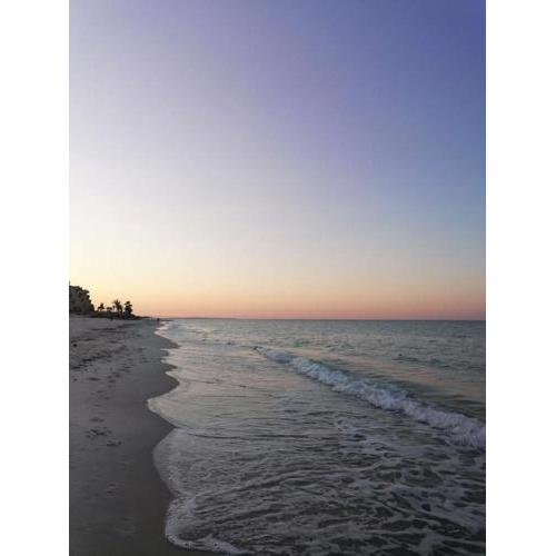 Entire villa two floors sea view-Chatt Mariem
