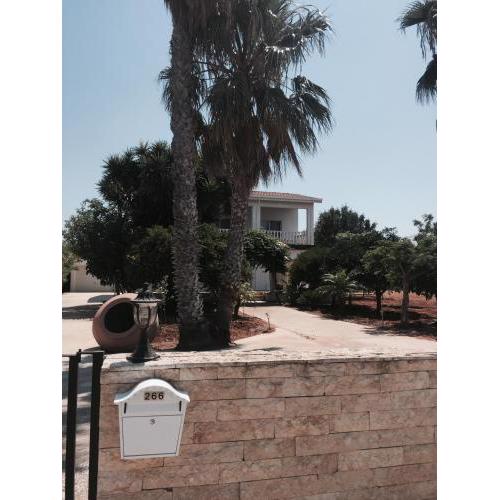 Erini Villa