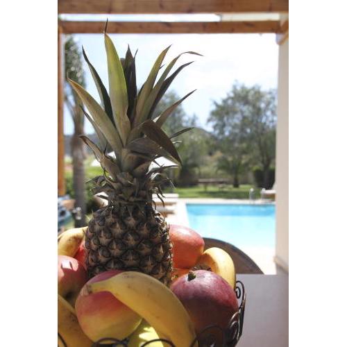 Eve Pissouri Rozaki Villa