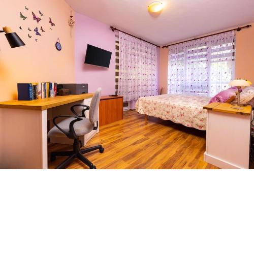 Excellent Center location apartment 'Bear's Den'