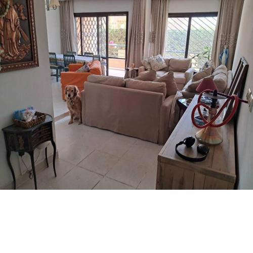 Family Fun -Spacious Apartment