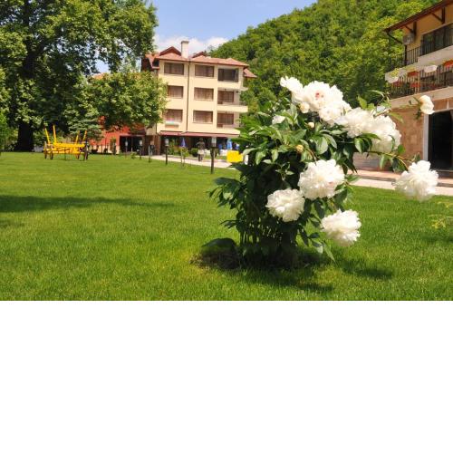 Family Hotel Delta