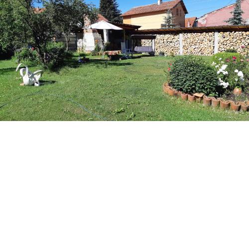 Family Hotel Ecorelax