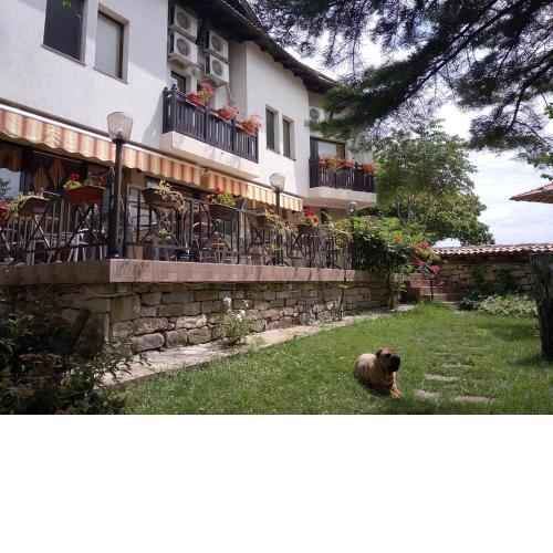 Family hotel Elena