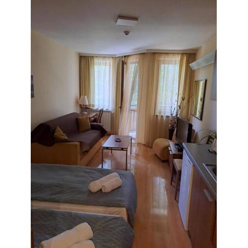 Family Studio 302, Villa park