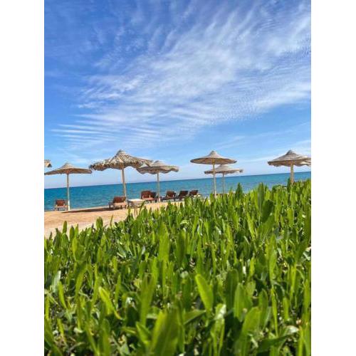 Fanar Hotel