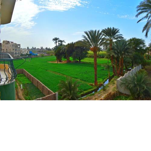 Farida Apartments