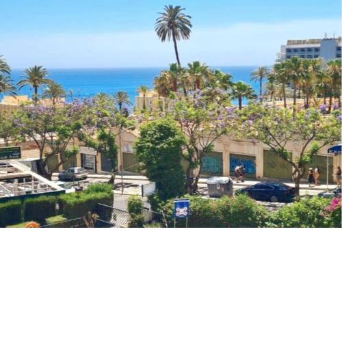 Flamingo Top Suite