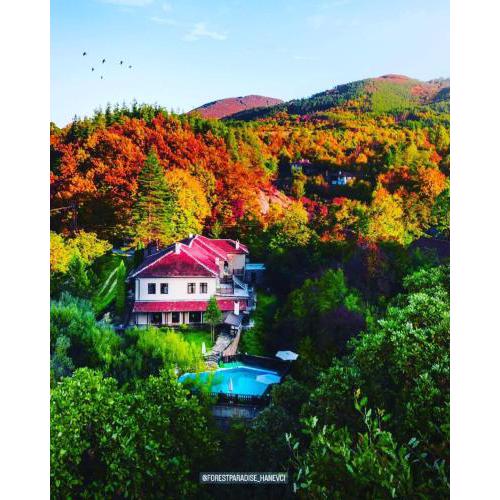 Forest Paradise Hanevci
