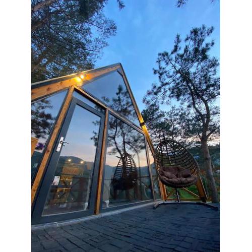 Forest Suite Bungalov
