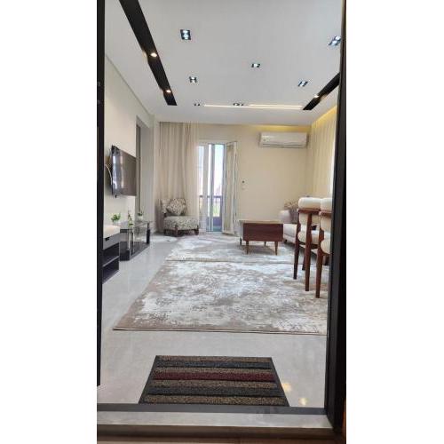 Full furnished big flat