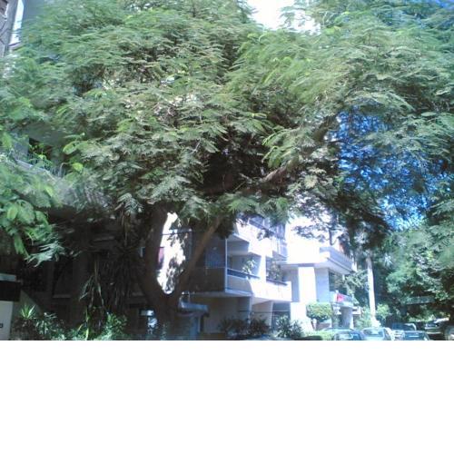 Fully Equipped ,Private ,centrally located flat in Mohandsseen